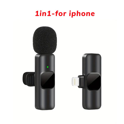 Professional Wireless Microphone