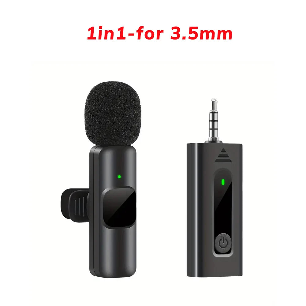 Professional Wireless Microphone