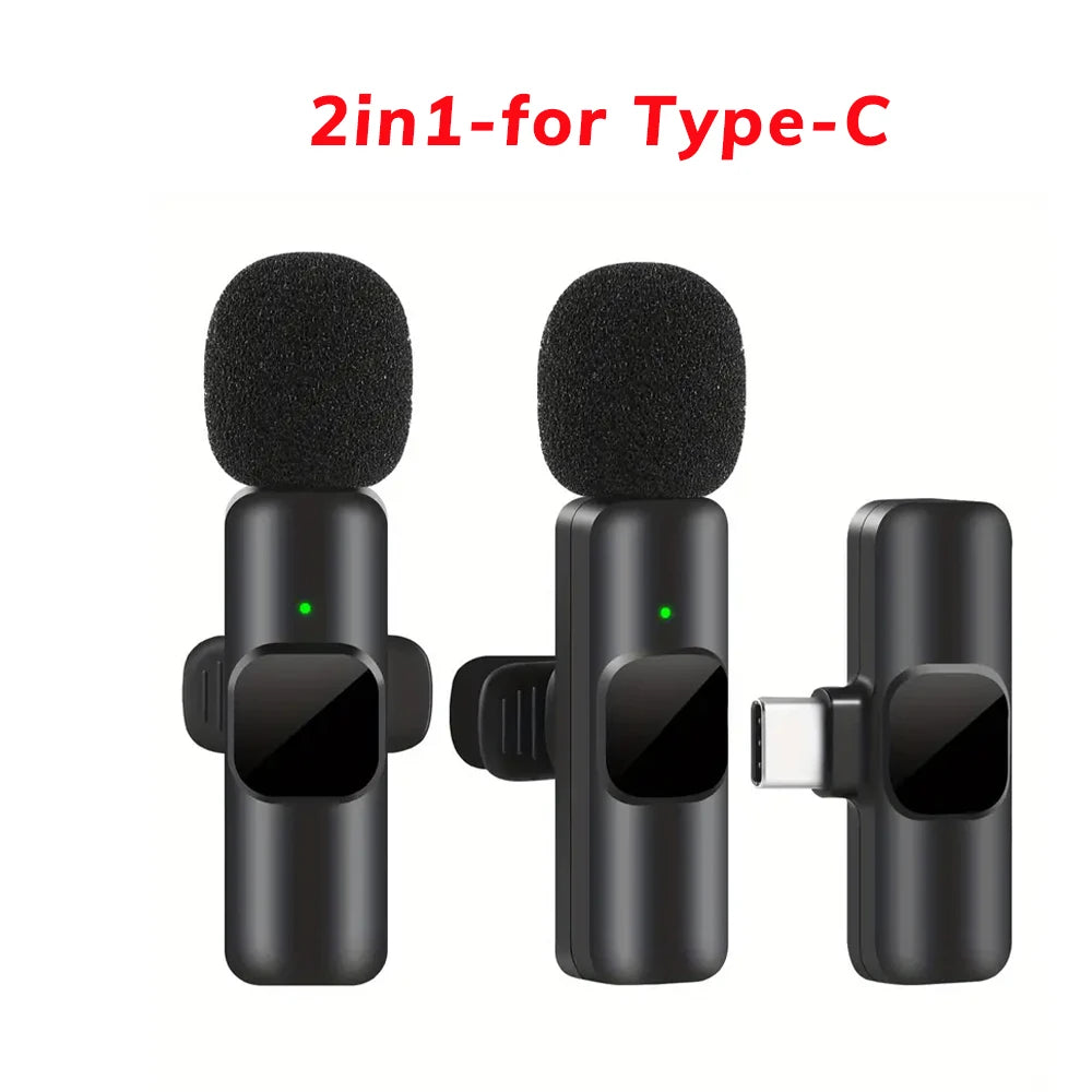 Professional Wireless Microphone