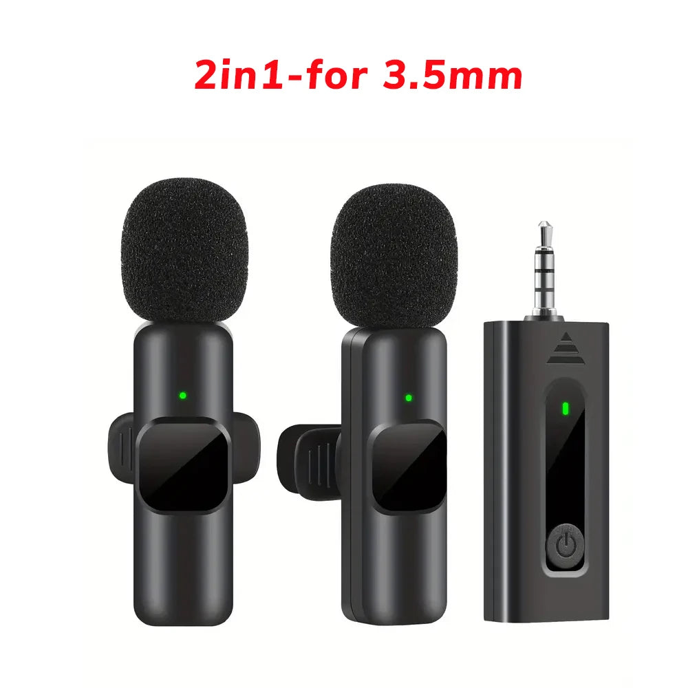 Professional Wireless Microphone