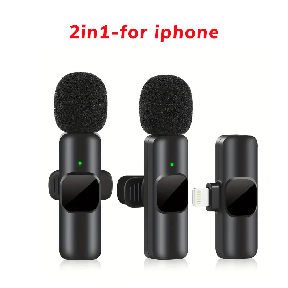 Professional Wireless Microphone